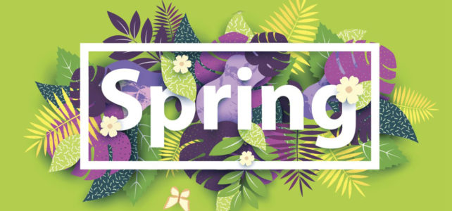 The Importance of Spring Carpet Cleaning