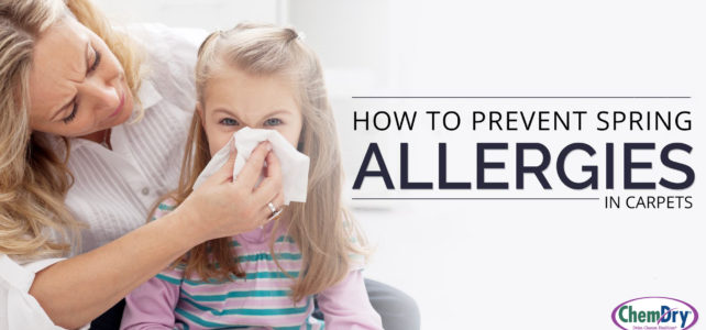How to Allergy Proof Your Carpet